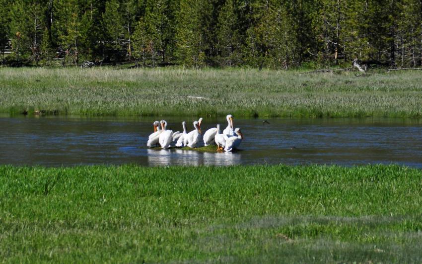 Allez on se serre un peu...