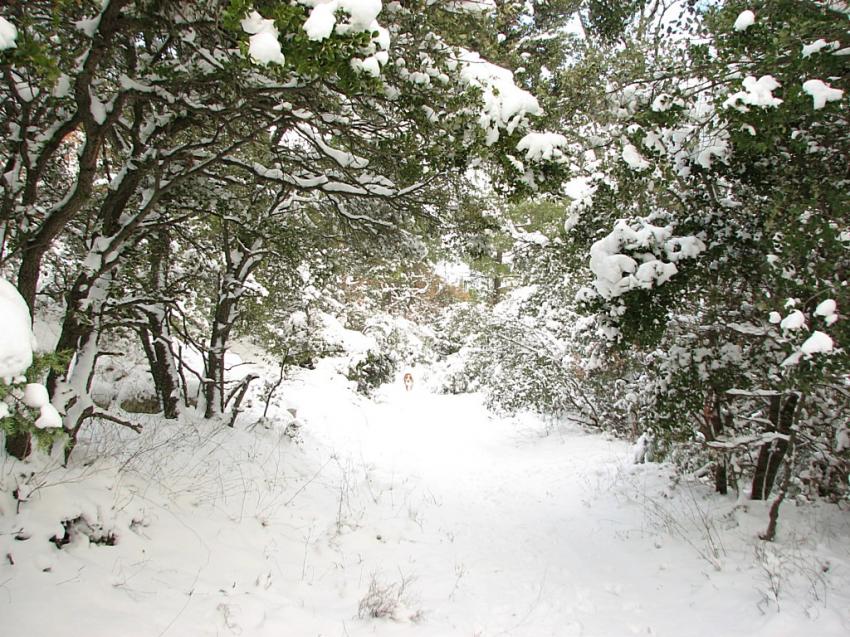 Il n'y a pas si longtemps ......