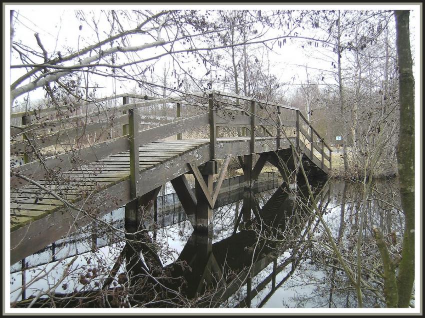 Pont de bois sur le Miroir