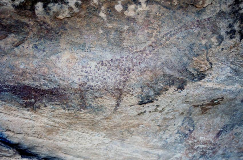 Sur les traces de Thodore Monod ( Maurutanie)