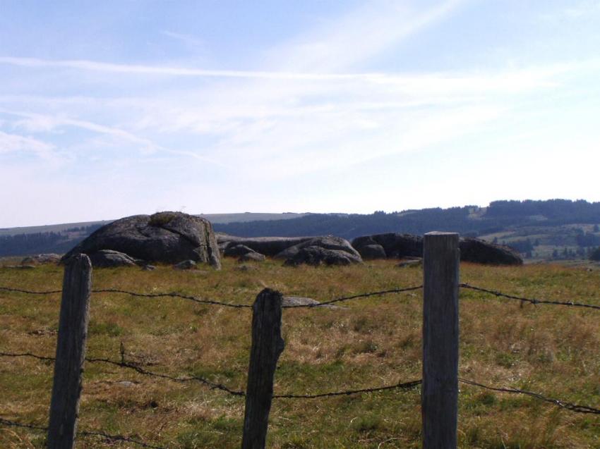 nature versnasbinals