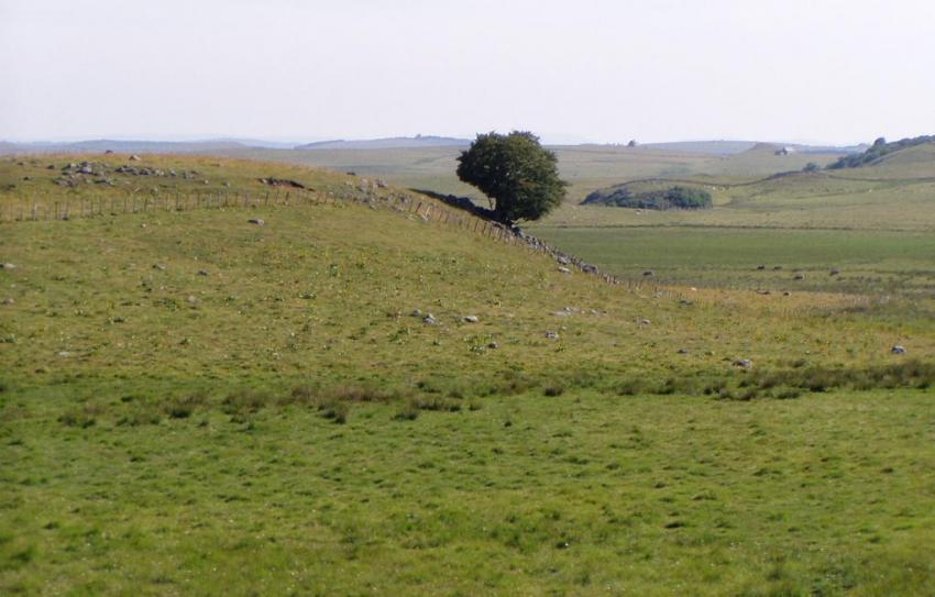 nature vers nasbinals