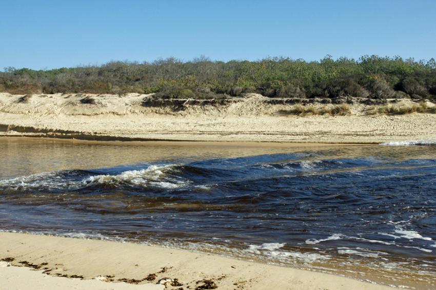 Le Courant d'Huchet (Landes)