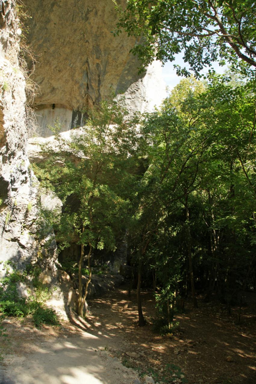 GORGES DE LA NESQUE