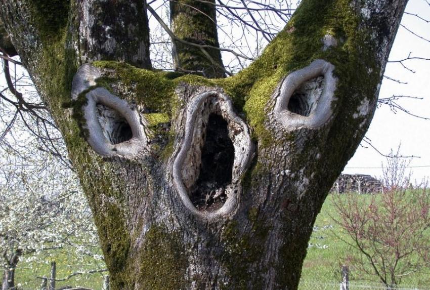 Reprenez tous ensembles .....