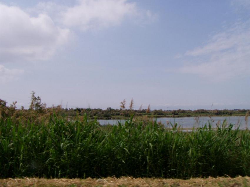 rte de petite camargue