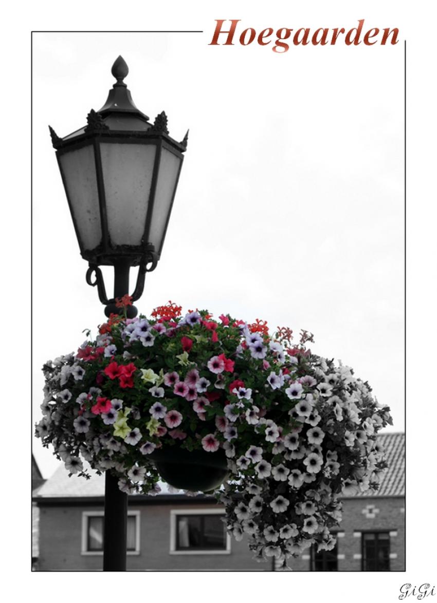 Hoegaarden