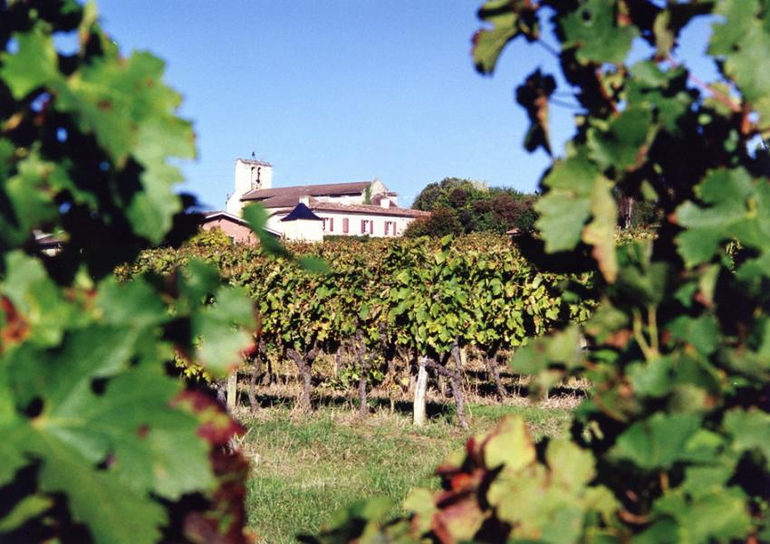 La Vigne ( Entre-deux-Mers)