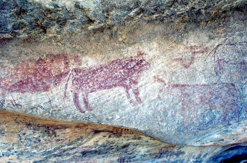 Sur les traces de Thodore Monod