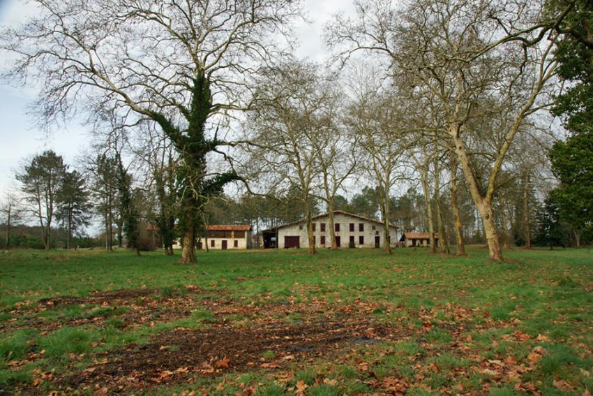 Sur les pas de Franois Mauriac