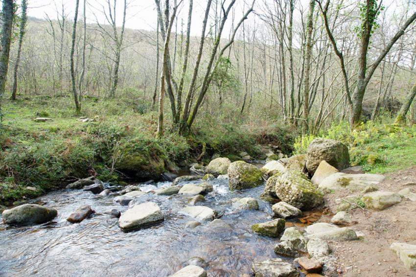 Randonne vers la Rhune ( 1 )