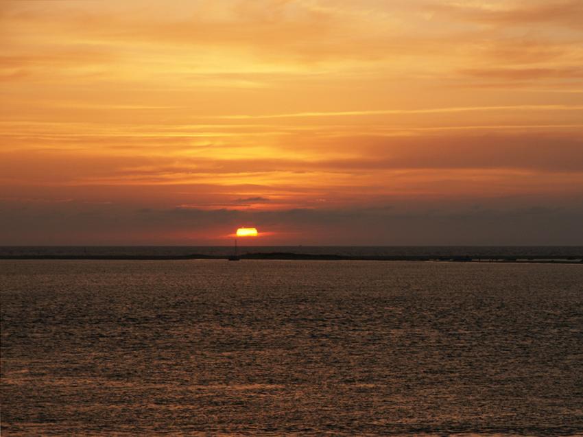 Escale au Banc d'Arguin