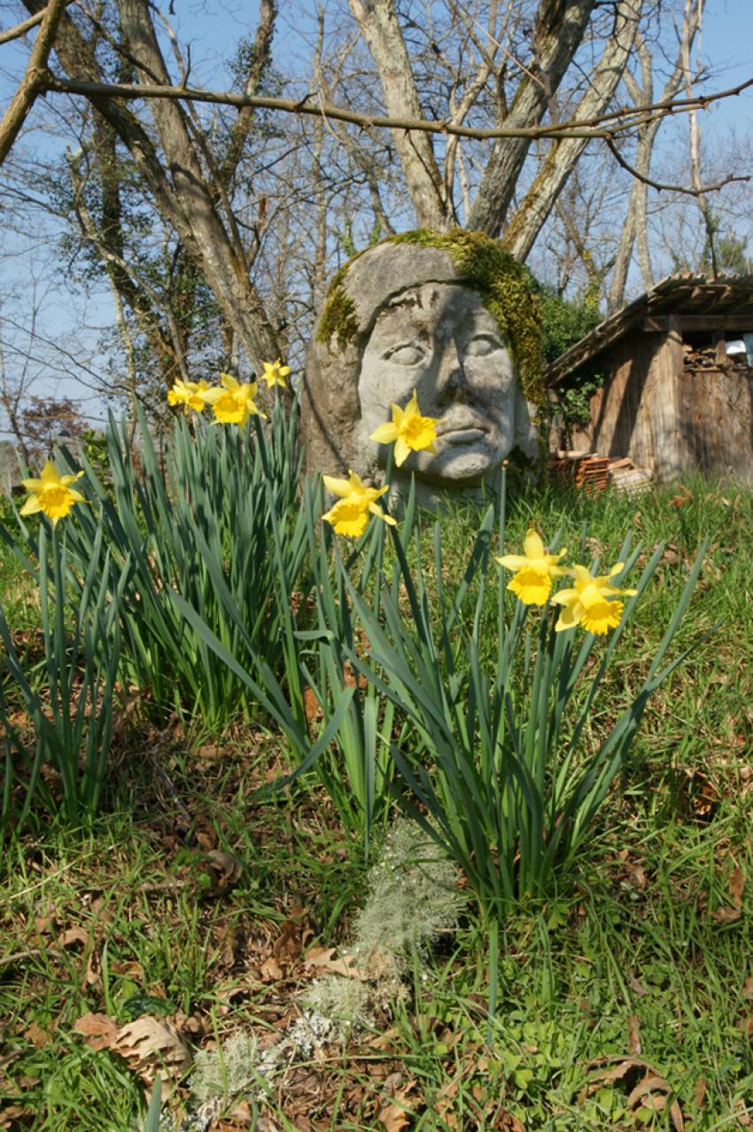 Sur les pas de Franois Mauriac