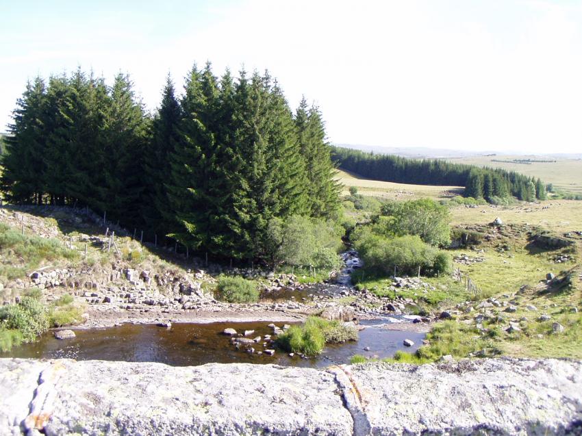 riviere vers nasbinals