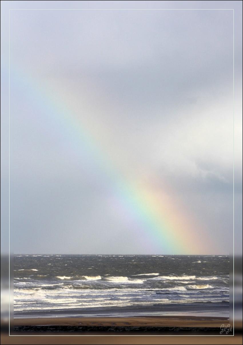 Couleurs irises.....