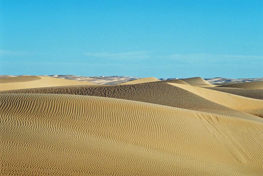 Sur les traces de Thodore Monod