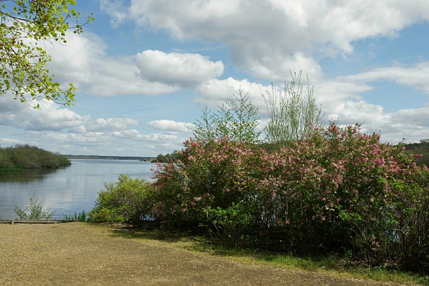 Le lac d'Aureilhan au printemps