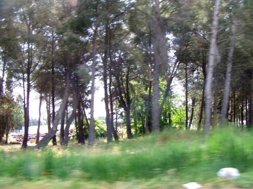 rte de la petite camargue