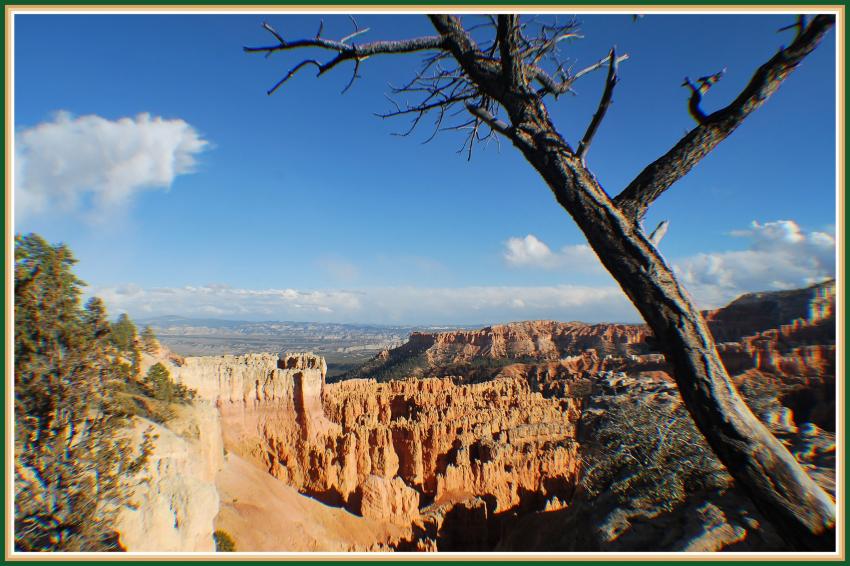 Bryce Canyon