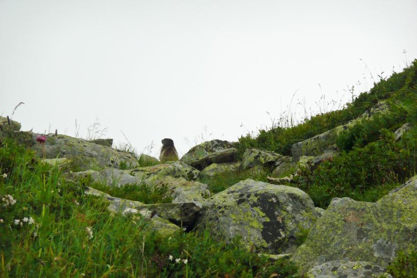 Massif du Mont-Blanc (Balcon Nord)