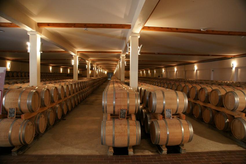 Chateaux de vin en Mdoc