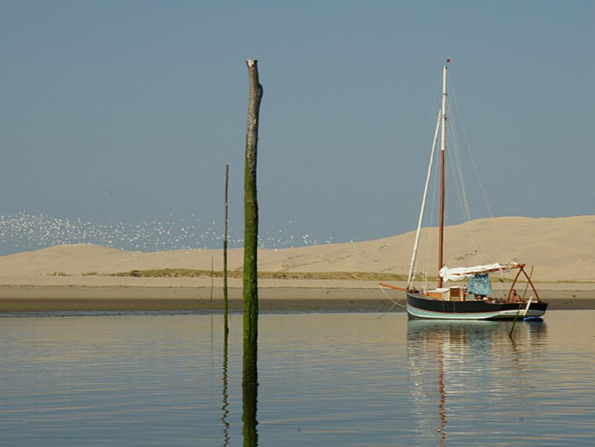 Escale au Banc d' Arguin