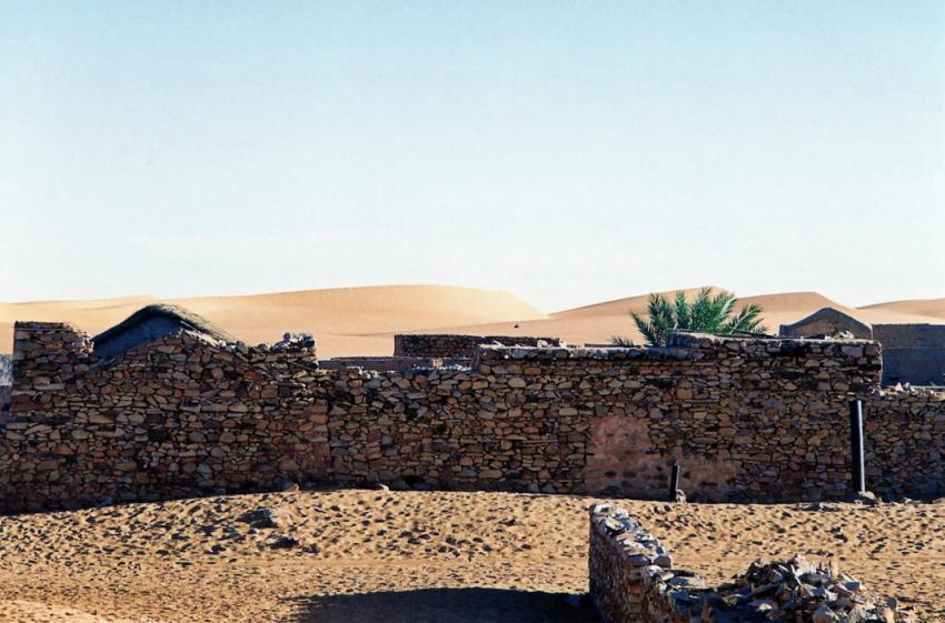 Sur les traces de Thodore Monod