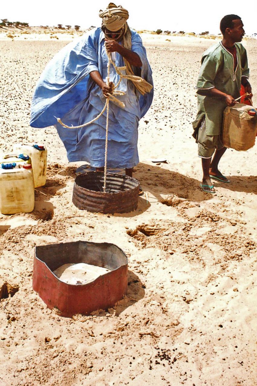 Sur les traces de Thodore Monod ( Mauritanie)