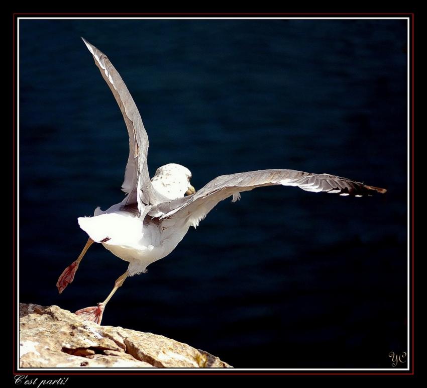 Le Tour du Portugal en 21 jours    (Page 55)
