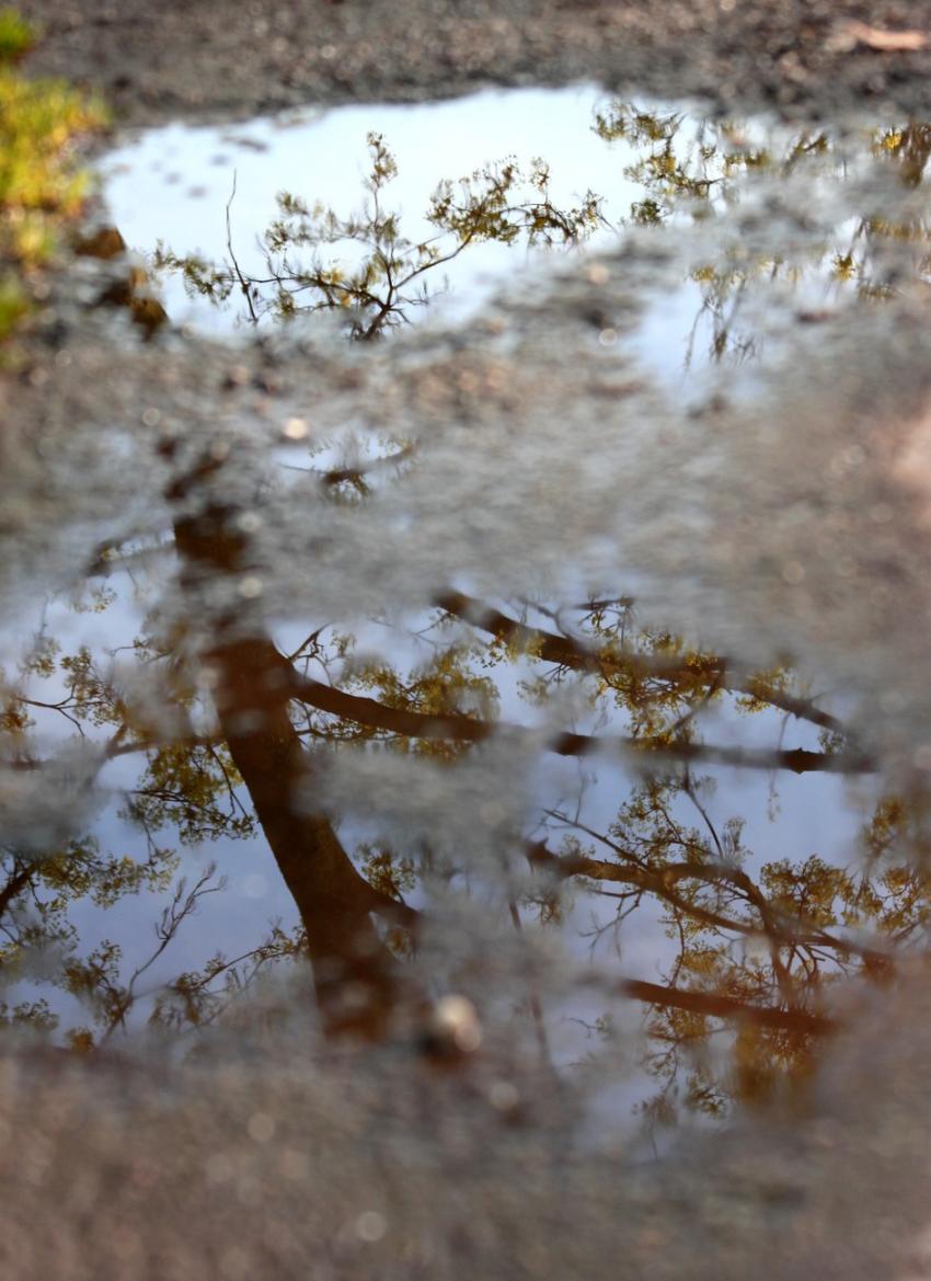 Aprs la pluie d'une nuit (c'tait il y a un momen