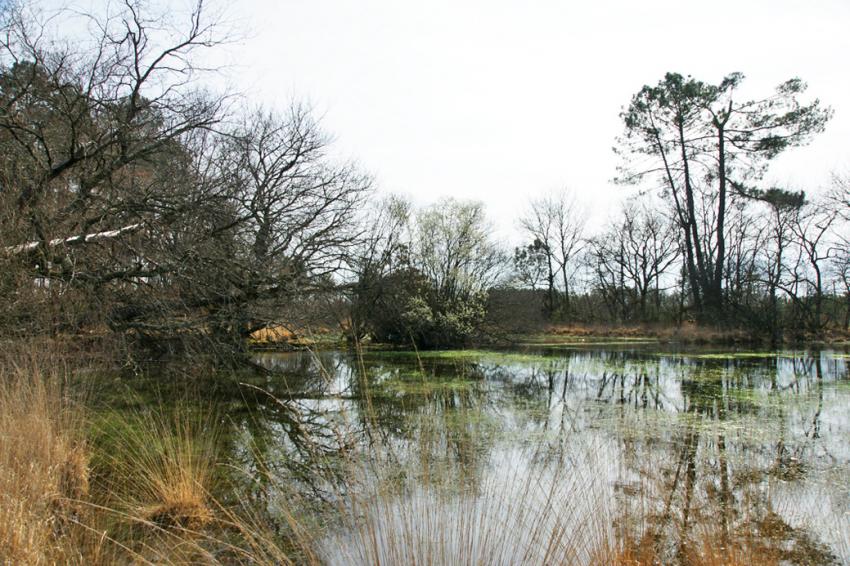Sur les pas de Franois Mauriac