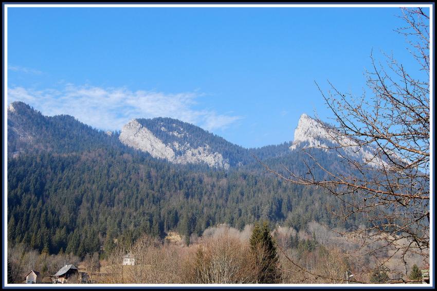 La Chartreuse au Sappey (38)