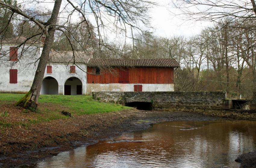 Sur les pas de Franois Mauriac