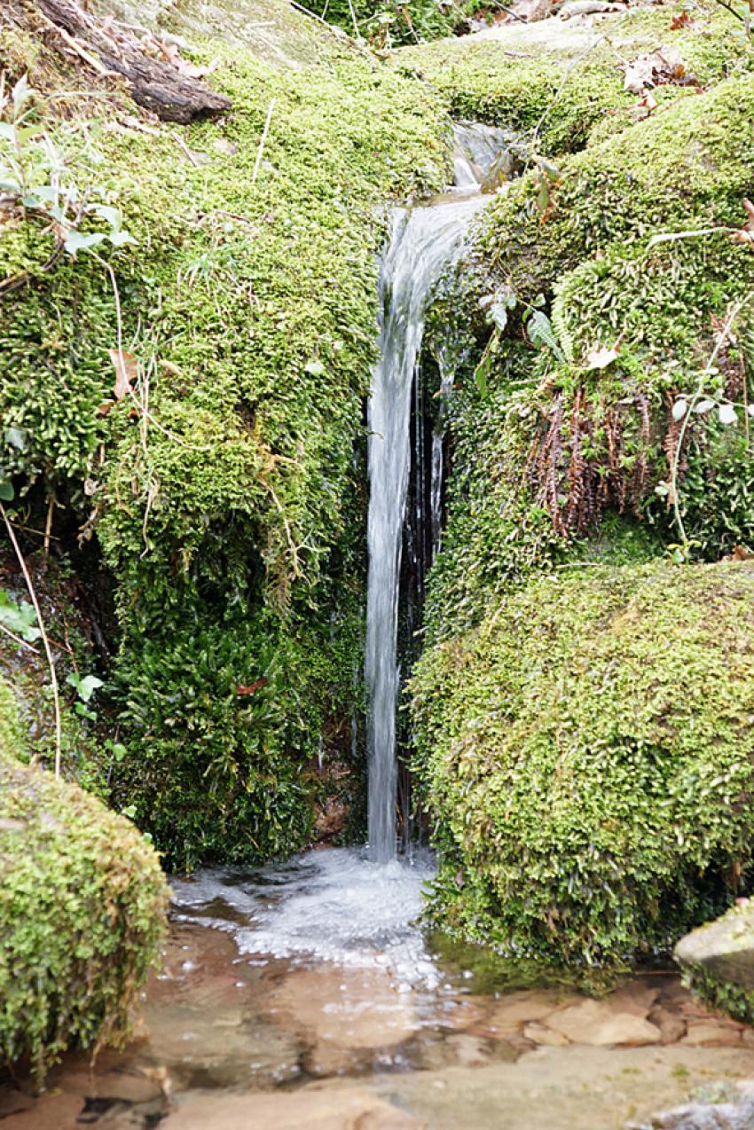 Randonne vers la Rhune ( 2 )