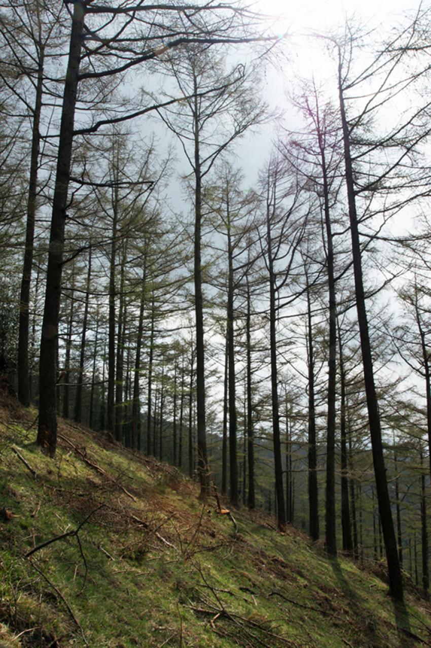 Randonne vers la Rhune (3 )