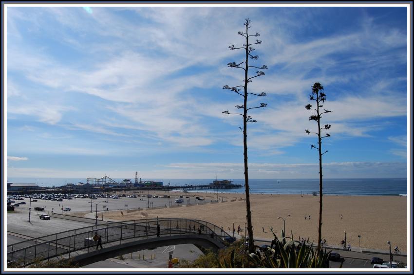 Los Angeles - Californie - Plage de Santa Monica