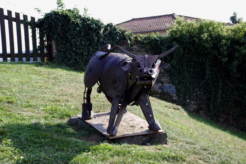 Taureau a Grezolles ,Loire 42