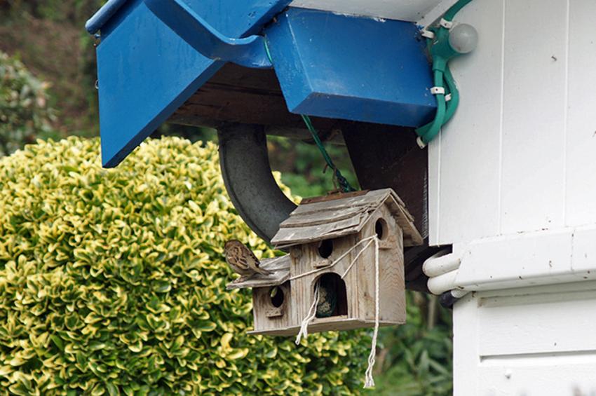 Presqu'le du Cap-Ferret