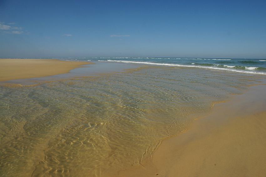Escale au Banc d'Arguin