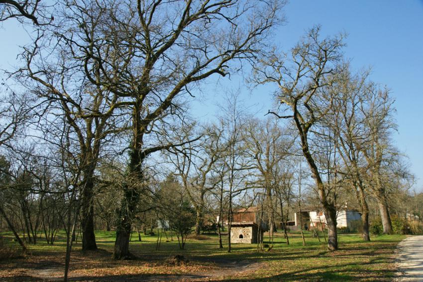 Sur les pas de Franois Mauriac