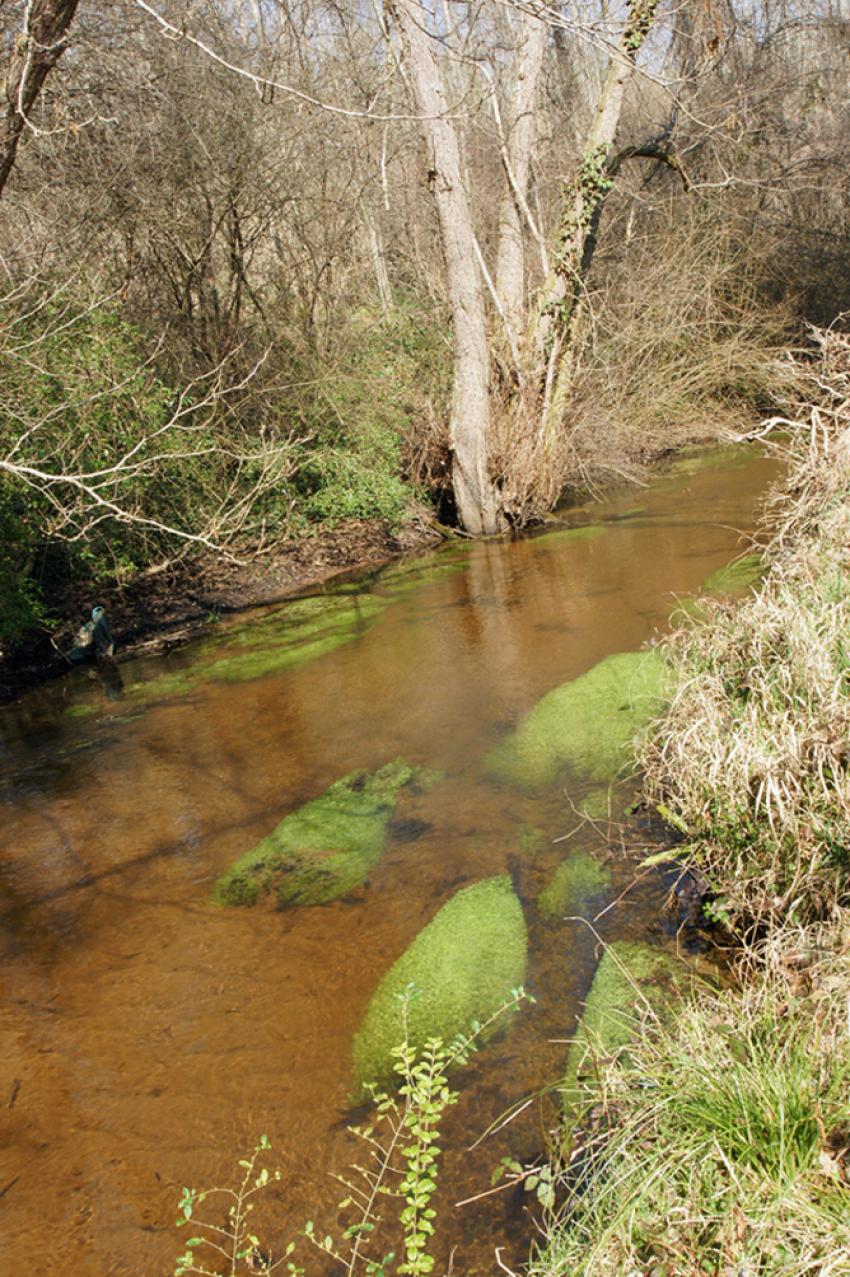 Sur les pas de Franois Mauriac
