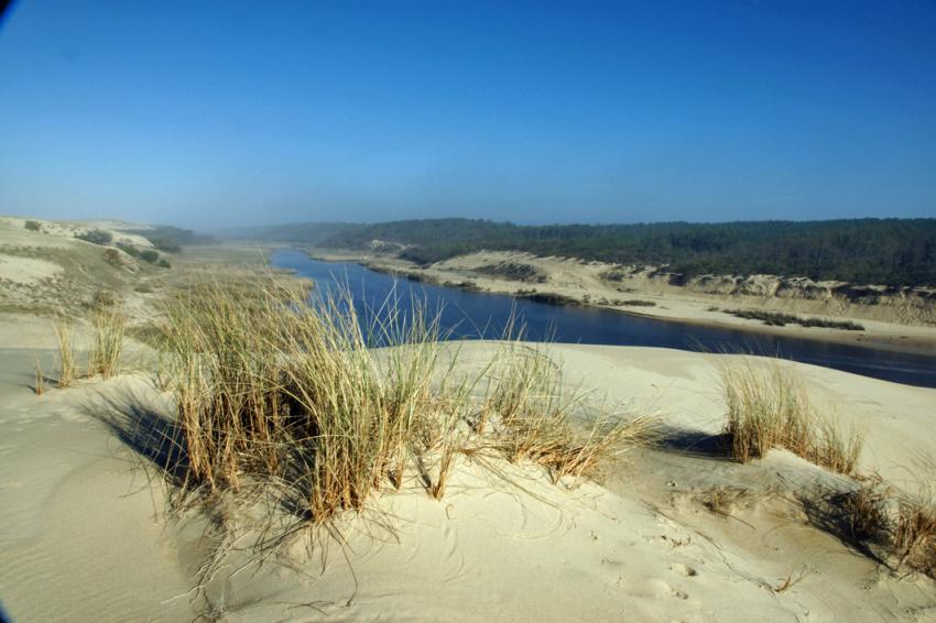 Le Courant d'Huchet (Landes)