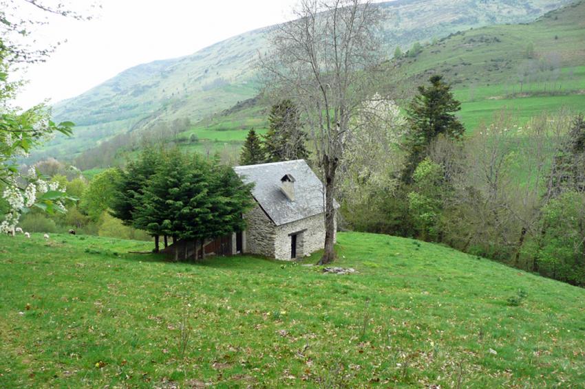 Printemps  Azet (Htes Pyrnes)