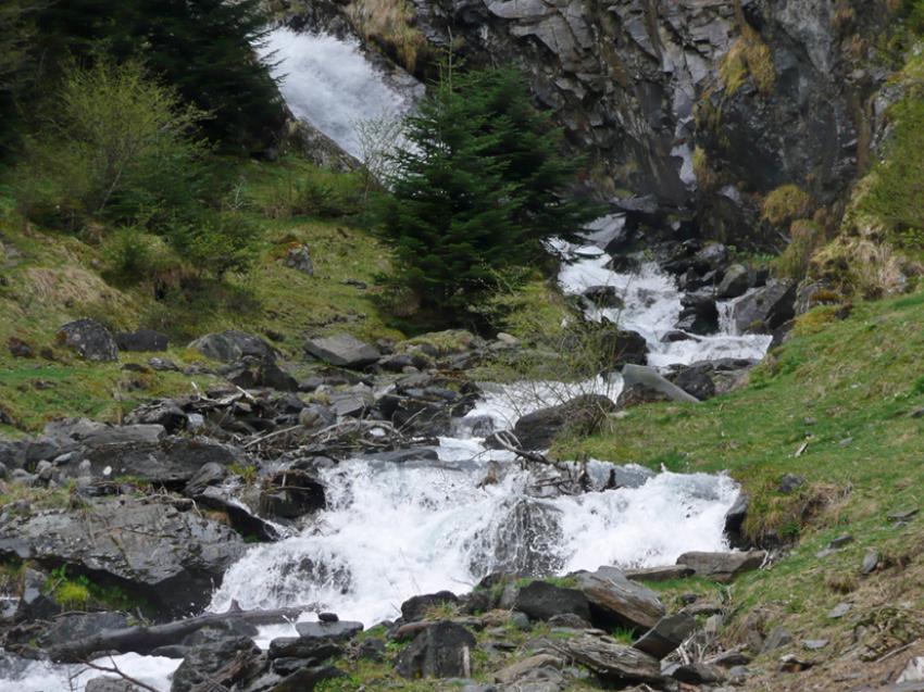 Printemps  Azet (Htes Pyrnes)