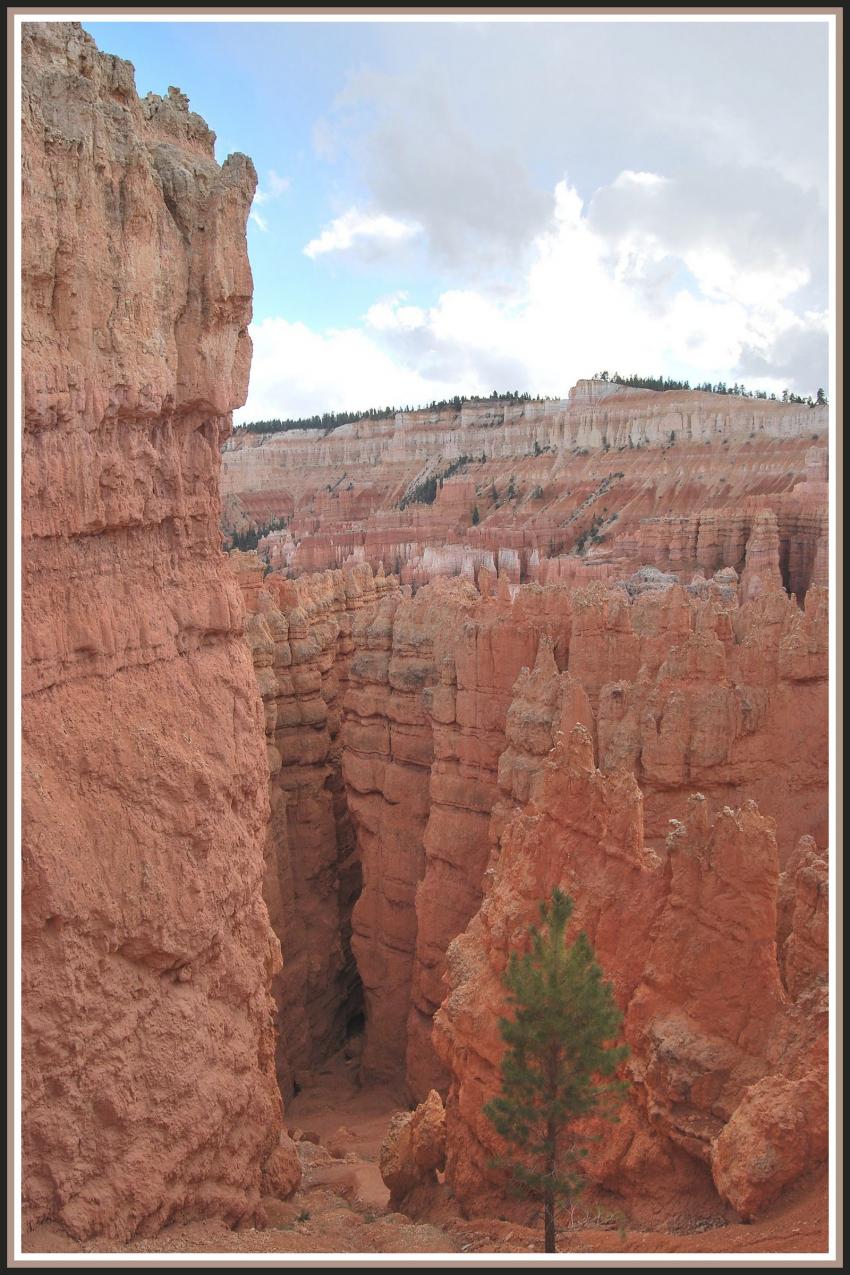 Bryce Canyon