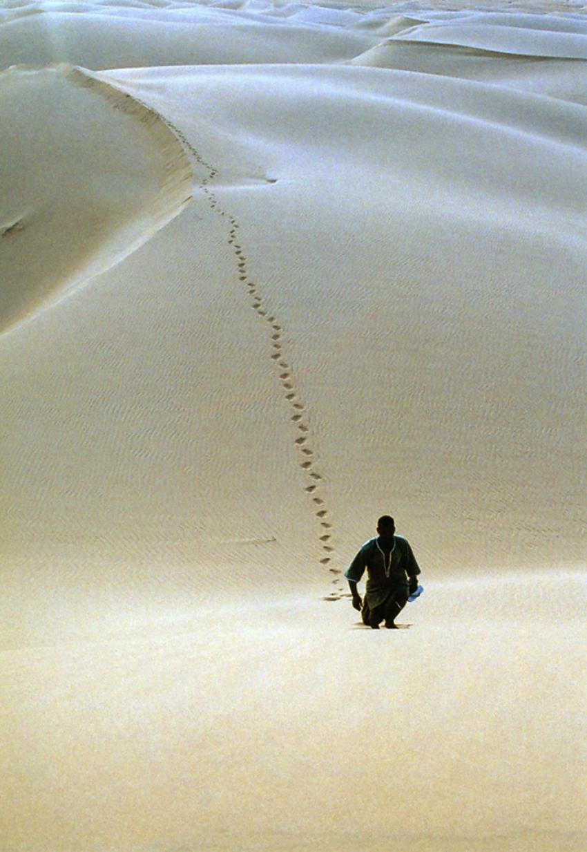 Sur les traces de Thodore Monod (Mauritanie)