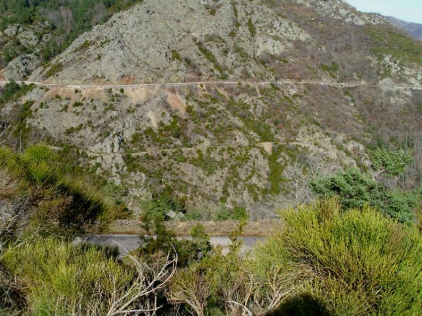 colde rhodes dourbie