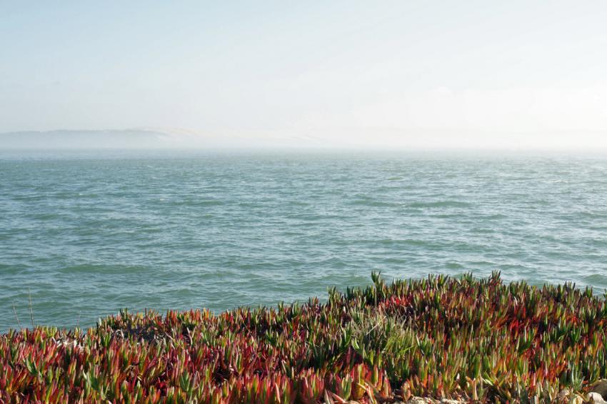 Presqu'le du Cap-Ferret
