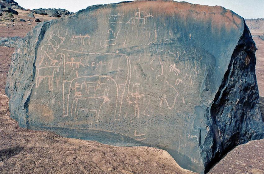 Sur les traces de Thodore Monod ( Mauritanie)