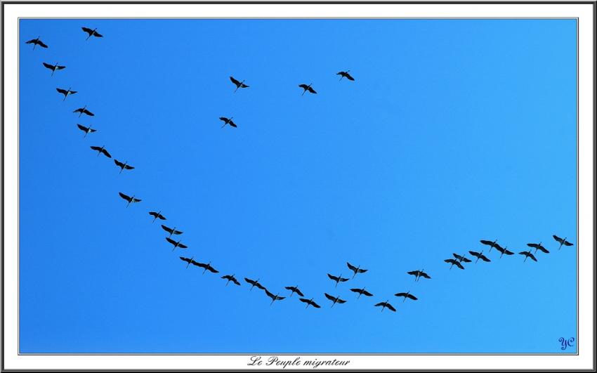 Le Peuple Migrateur